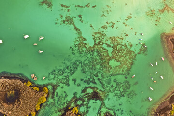 Galapagos Islands, Ecuador. Animals and nature of this fantastic holiday destinatuion.