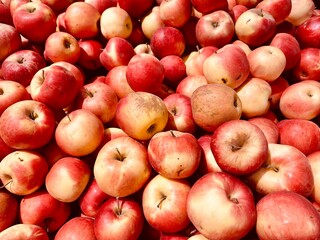 background red sweet apples on the market