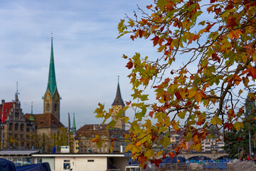 Beautiful plane tree with autumn leaves at City of Zürich with defocus background with skyline of the old town with churches and historic houses. Photo taken October 30th, 2022, Zurich, Switzerland.