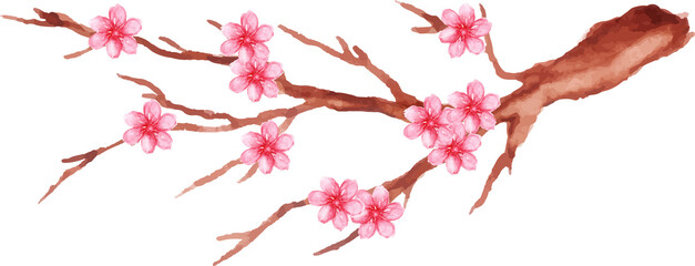 spring branch of sakura