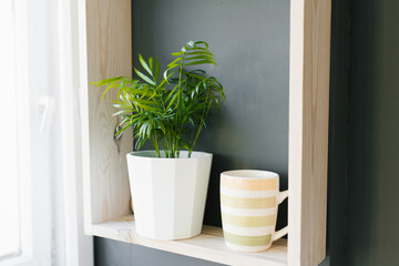 A houseplant in a white pot and a mug are on a shelf in the kitchen