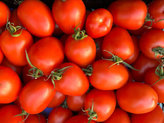 Tomates rojos