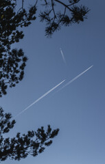 Vertical photo of three white contrails from airplanes heading in different directions in the sky