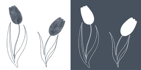 White, Black Drawing Tulips Illustration Vector