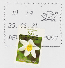 stamp briefmarke vintage retro papier paper used gebraucht farnkiert cancel blume flower...