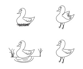goose illustration icon collection.
coloring book.
vector doodle.