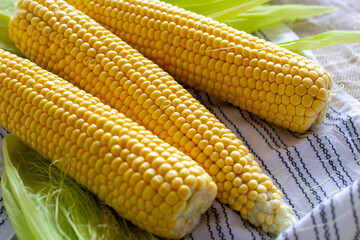 Fresh corn cobs with leaves and corn silk