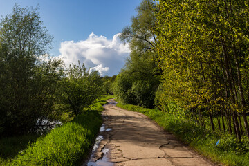 An old deserted road laid through the green thickets of trees and shrubs