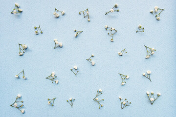 Tiny real flowers lay flat scattered on blue paper with texture, top view fresh pastel background
