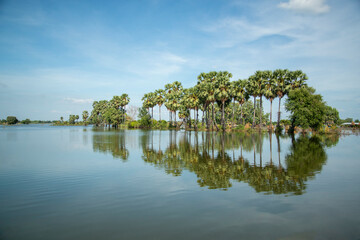 Fototapeta na wymiar THAILAND ANG THONG AGRICULTURE FLOOD