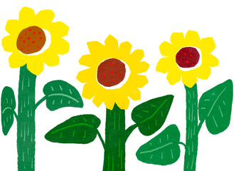Illustration of three sunflowers highlighted by thick stems, yellow sunflower flowers drawn like children's drawings