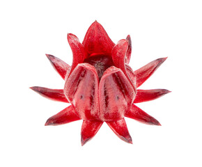 fresh roselle hibiscus on  transparent png © supamas