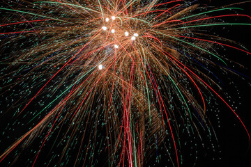 Fireworks in the black sky