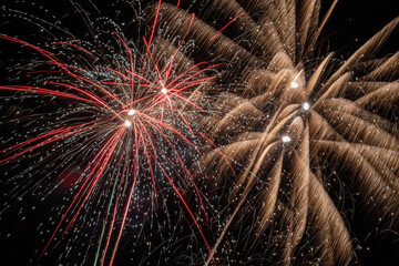 Fireworks in the black sky