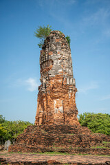 Fototapeta premium THAILAND AYUTTHAYA WAT LOKAYASUTHARAM