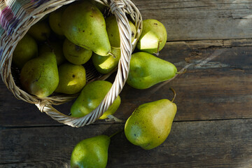 Pears on a wooden background. Fruit harvest. Autumn still life. Pear variety Bera Conference.