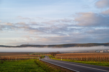 straße im morgenlicht mit nebelwalze