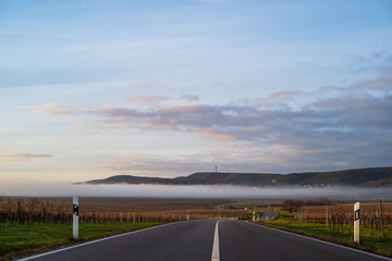 straße im morgenlicht mit nebelwalze