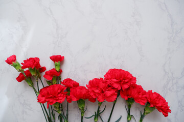 Red Carnation flowers composition on white marble background. floral background for Mother's day, Women's day and wedding. Beautiful red carnation on table. 