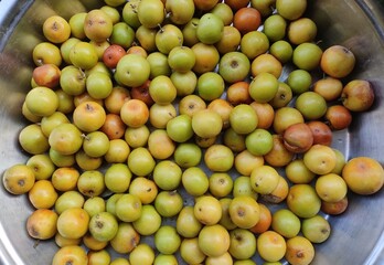 Jujube (Zizyphus jujuba Mill.) is recognized as the most important Zizyphus species for fruit production in the buckthorn family Rhamnaceae.