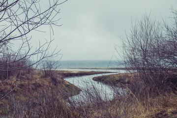 Winter or cool gloomy beach landscape with rocky areas and dark vegetation Clear gray sky with a calm view of a dam