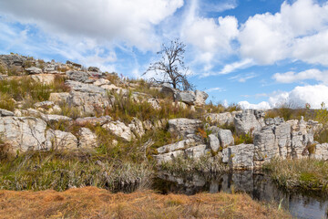 Fototapeta na wymiar Rocky landscape of the Western Cape of South Africa