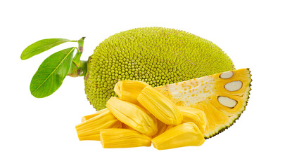 Jackfruit with isolated on transparent png
