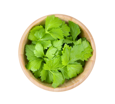 celery leaf in wood bowl isolated on transparent png