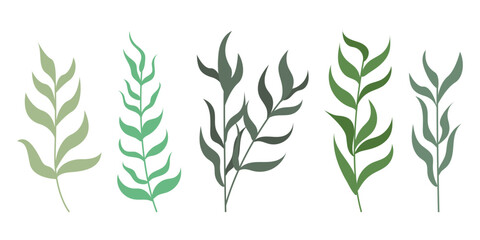 Set of hand drawn abstract tree branches with leaves illustration