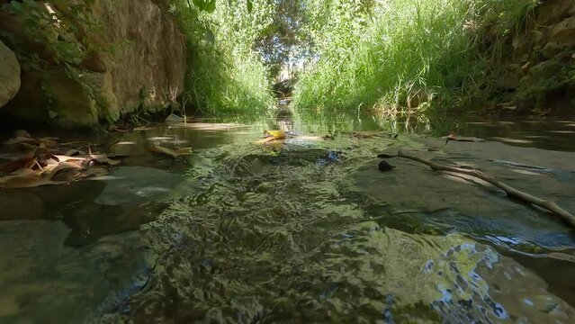 Nahal Kashlon, a stream of fresh water that flows inside the Ein Hamad nature reserve, 