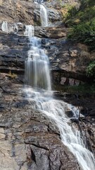 waterfall in the forest
