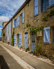 Fototapeta premium Quaint and flowery facades of townhouses with colorful wooden shutters and doors in the village of Terraube in the South of France (Gers)