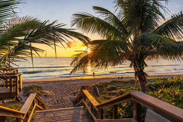The rising sun shines through palm trees on a Florida beach.