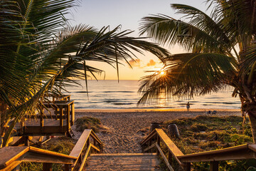 The rising sun shines through palm trees on a Florida beach.