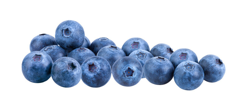 Fresh blueberry  isolated on transparent png