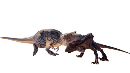 Dinosaur albertosaurus vs Indoraptor roaring, fighting isolated on blank background PNG ultra high resolution