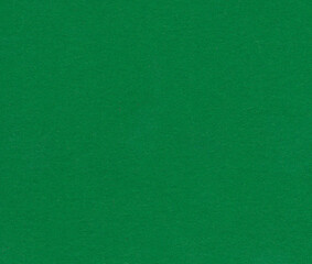 Texture of bright green paper. Background