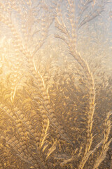 Evening sun and bright blue sky through the frost pattern on the window. Ice pattern and sunlight on winter glass