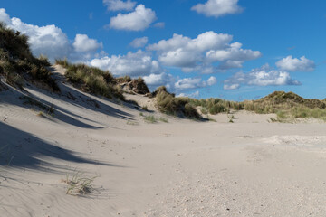 sand dunes in the netherlands on texel