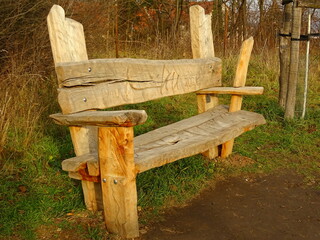 bench in the woods