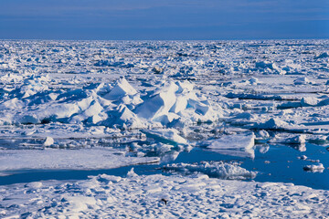 Fototapeta na wymiar Drift ice in the arctic ocean
