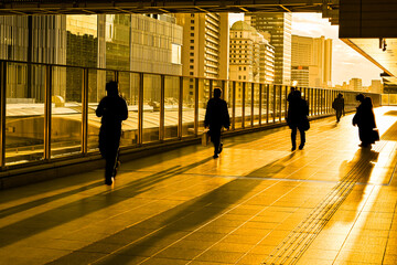 夕陽に輝く道をビジネスマンが行き交うイメージ写真