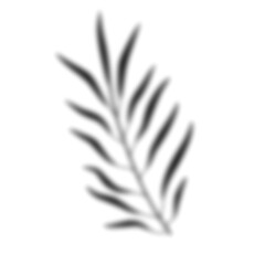 Leaf Shadow Illustration