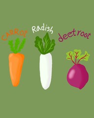 vegetables on white background