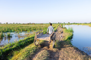 Fototapeta na wymiar a young farmer pulling wooden cart