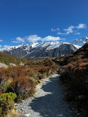 フッカー バレー トラック ニュージーランド