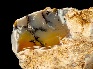 Dendritic opal. Opal on a black background. Opal is a hydrated amorphous form of silica. the mineral sample comes from Bohuskovice, Kremze, Czech Republic, Europe