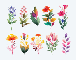 collection of flowers Beautiful Watercolor set of Design Ornaments