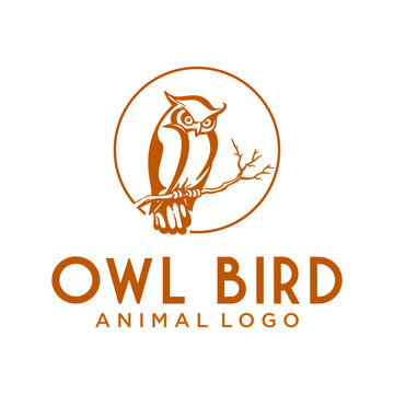 This logo is about an owl and a circle that looks like the moon. Made using corel draw X5.