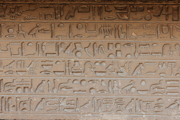 Egyptian hieroglyphs at the Saqqara Necropolis in Egypt.